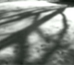 reverie_shadow